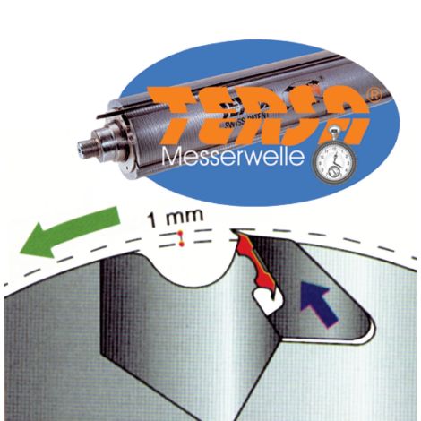 Wyrówniarko grubiarka z systemem szybkiej wymiany noży minimax  fs 30g TERSA  Holzkraft kod: 5503036D - 9